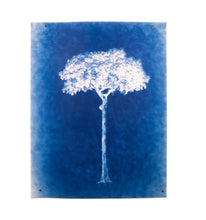 Load image into Gallery viewer, Untitled (Cyanotypes)