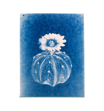 Load image into Gallery viewer, Untitled (Cyanotypes)