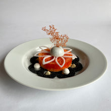 Load image into Gallery viewer, Tuiles revenge