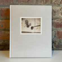 Load image into Gallery viewer, Time's Assignation