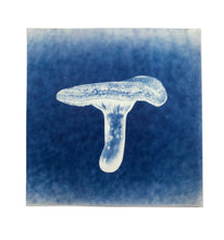 Load image into Gallery viewer, Untitled (Cyanotypes)