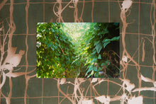 Load image into Gallery viewer, Lorena Cruz Santiago