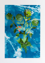 Load image into Gallery viewer, Lorena Cruz Santiago