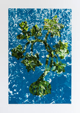 Load image into Gallery viewer, Lorena Cruz Santiago