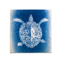Load image into Gallery viewer, Untitled (Cyanotypes)