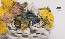 Load image into Gallery viewer, Matt Wedel: Phenomenal Debris