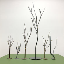 Load image into Gallery viewer, Ghost Garden (E)