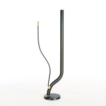 Load image into Gallery viewer, Ghost Garden (E)