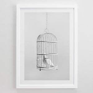 "Caged Bird" Limited Edition Print