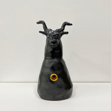 Load image into Gallery viewer, From Within: Orynx Speaks