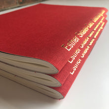 Load image into Gallery viewer, Esther Shalev-Gerz “Describing Labor” Exhibition Catalog