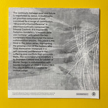 Load image into Gallery viewer, Janus