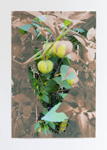 Load image into Gallery viewer, Lorena Cruz Santiago
