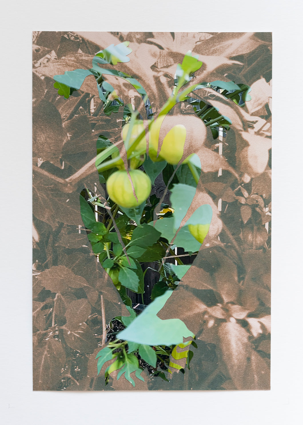 Lorena Cruz Santiago