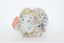 Load image into Gallery viewer, Flower Tree
