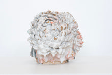 Load image into Gallery viewer, Flower Tree
