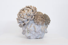 Load image into Gallery viewer, Flower Tree
