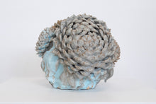 Load image into Gallery viewer, Flower Tree
