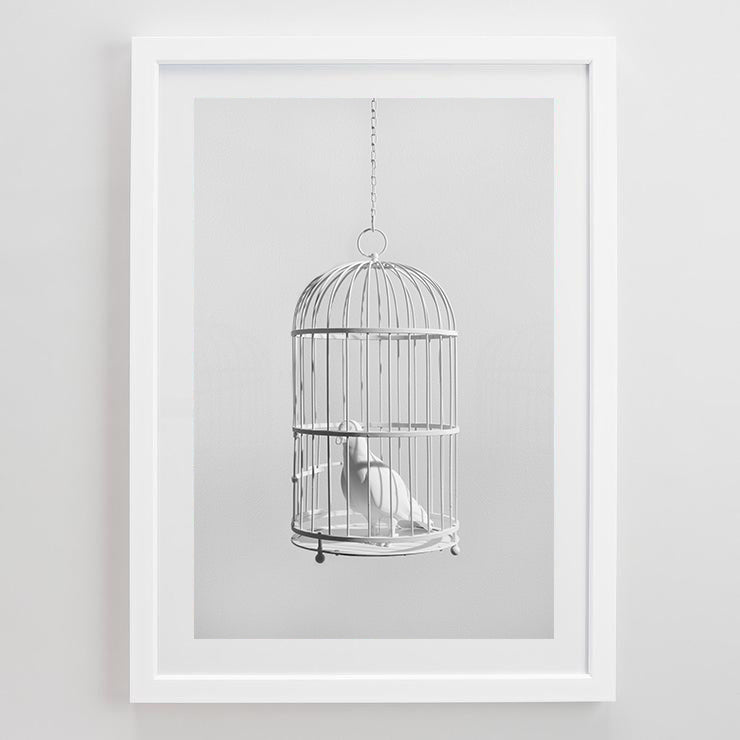 DISEASES OF CAGE AND AVIARY BIRDS レア本 DISEASES OF CAGE AND AVIARY BIRDS レア本